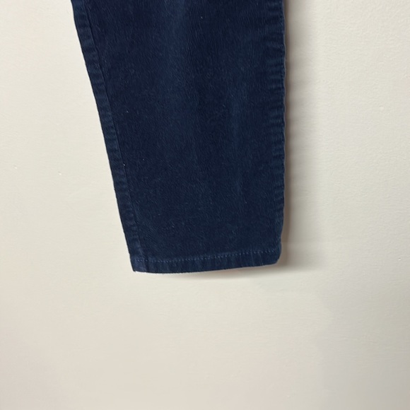 Banana Republic Navy Blue Corduroy Pants - Picture 3 of 10